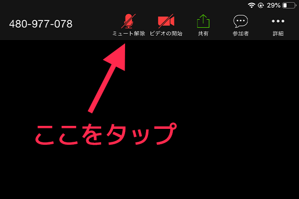 Zoomで相手の音や映像が聞こえない 見えない場合の対処方法 シンプル起業 青山華子のブログ